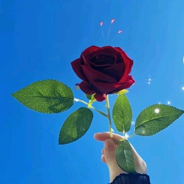 প꯭᨞兜兜🌾有米ོ࿐