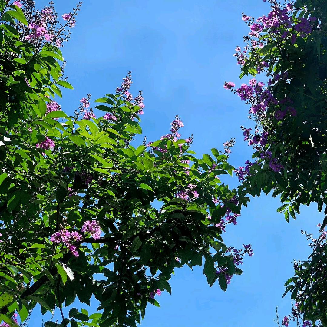 最熟悉的陌生人