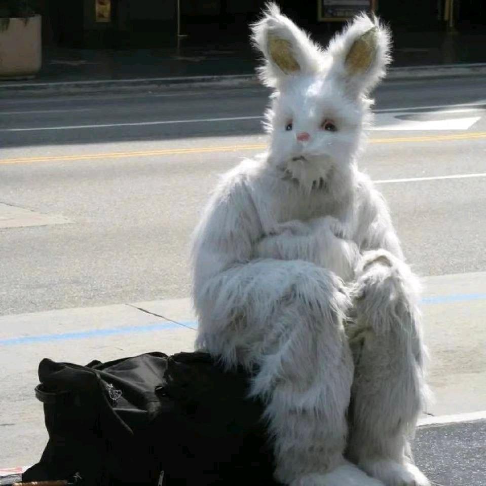 🌈恭喜發財🌈