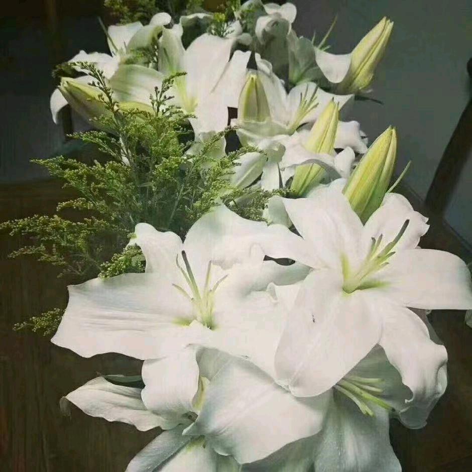 香颐花卉