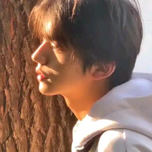 荆州市网诚三有限公司