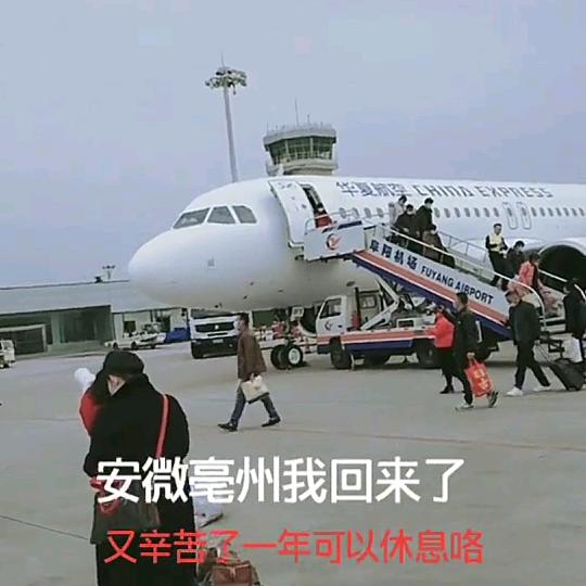 五妹