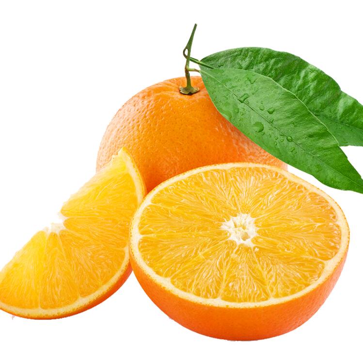 @🍋ιι鹃儿