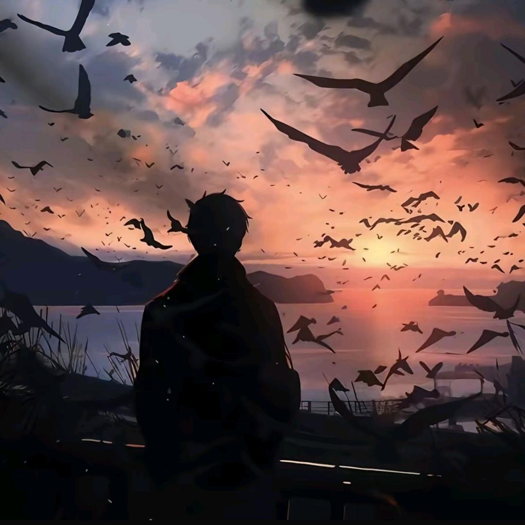 风与路人……(遗憾)