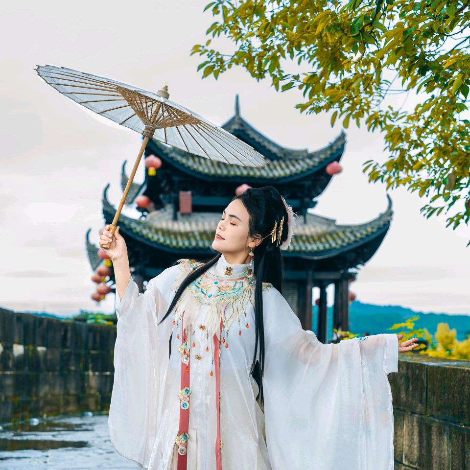 粉红色的铿锵玫瑰