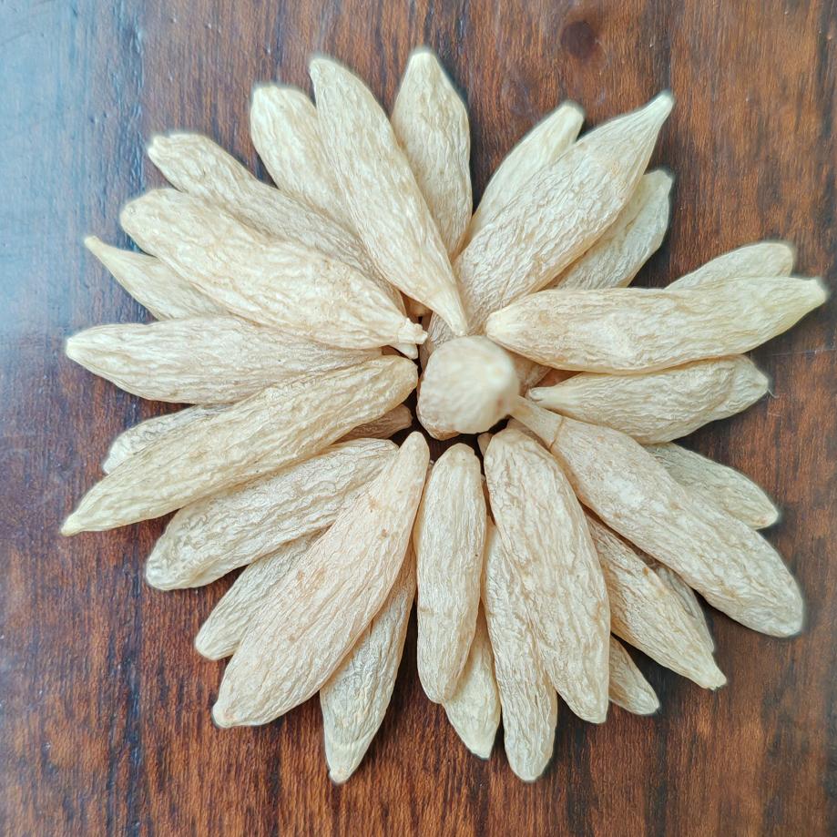 路路好物滋补品