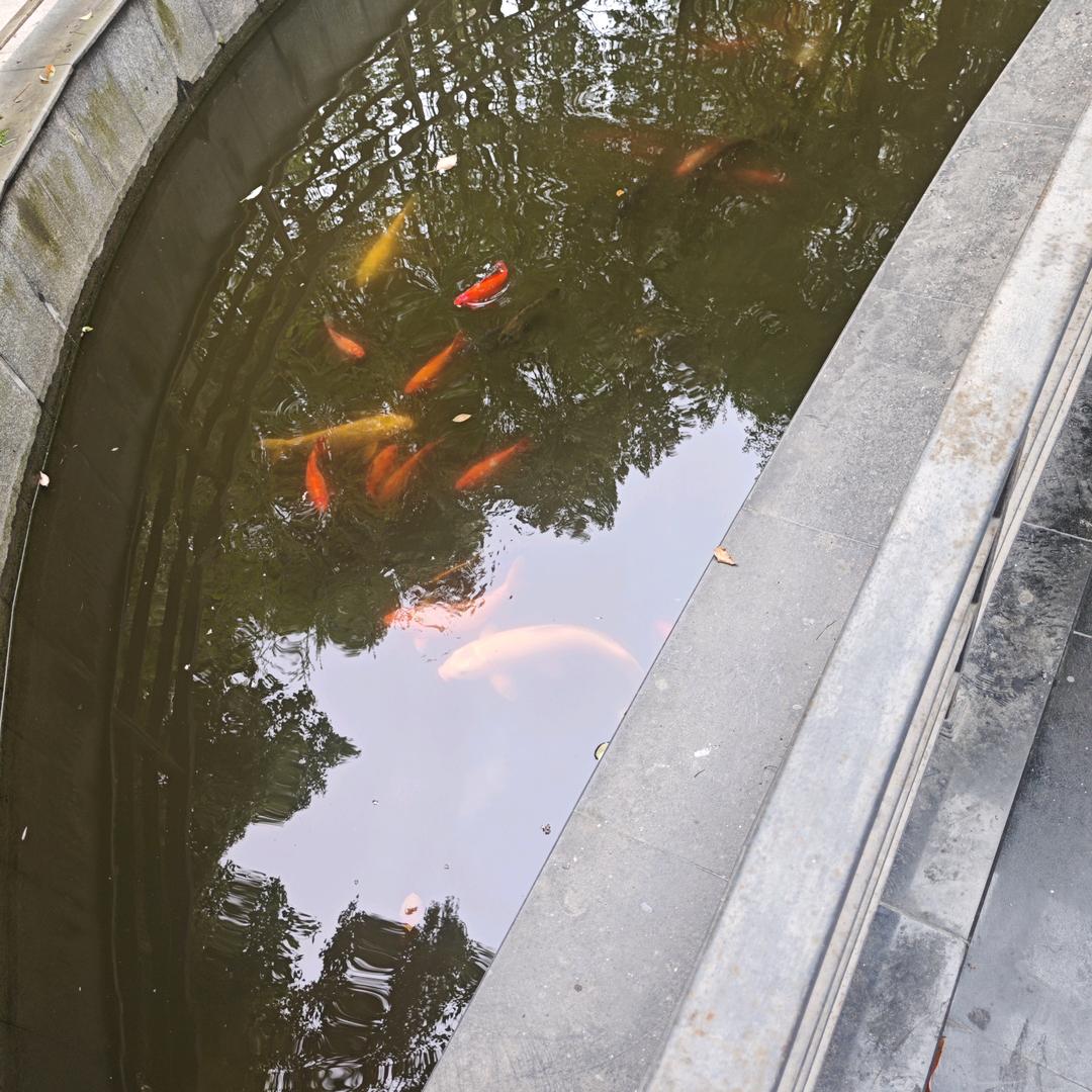蓝天白云潇洒走一回