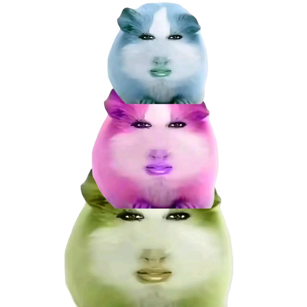 走舟zz