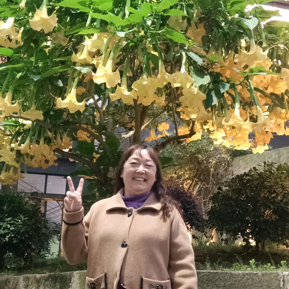 南川张姐