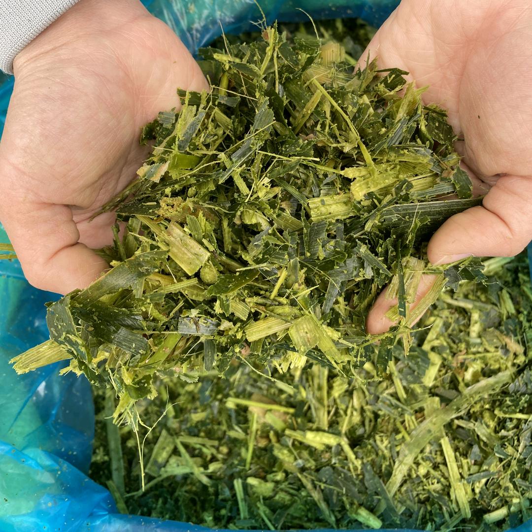 牛羊旺草业