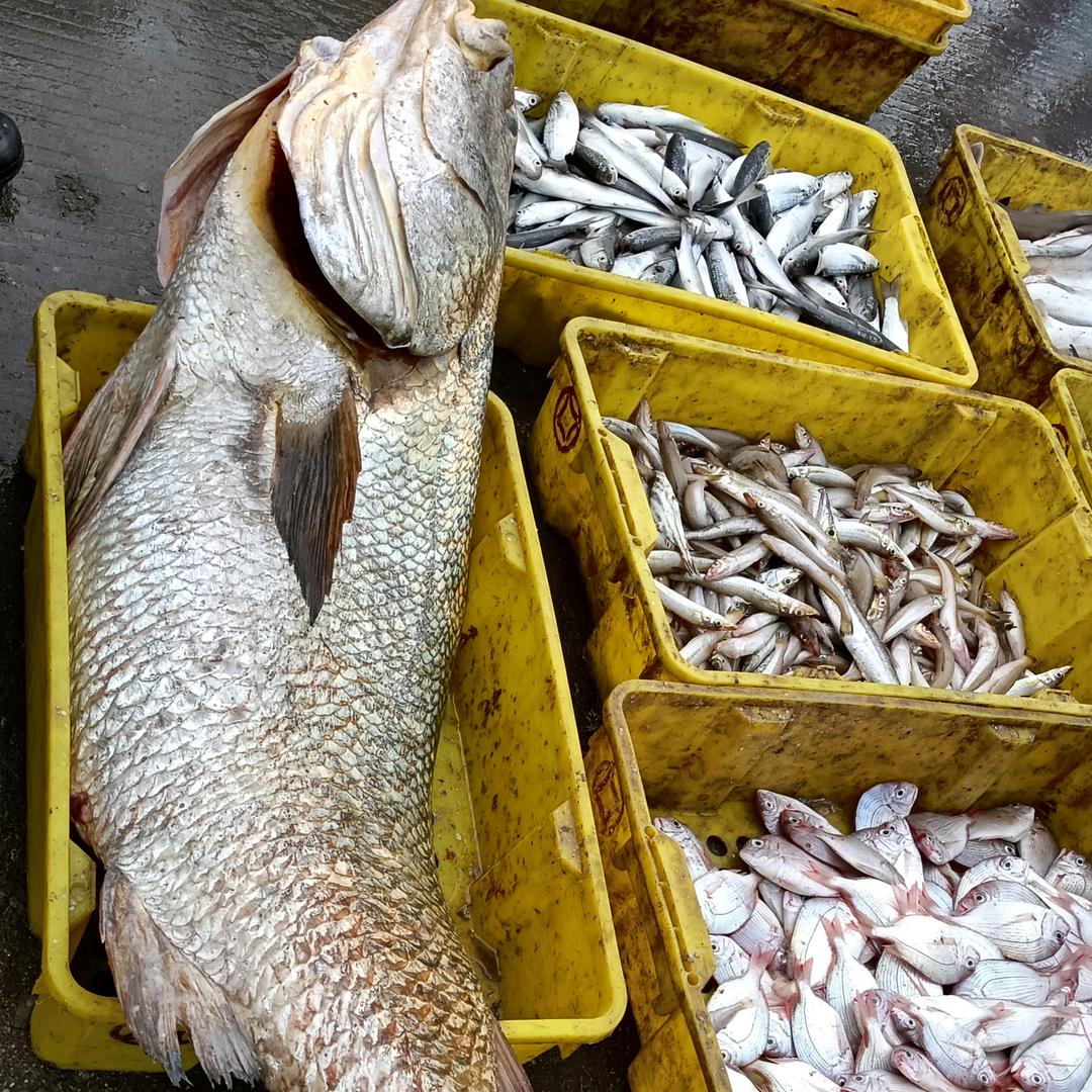 你别笑我穷，你比穷人更穷