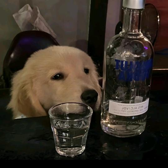 言辞
