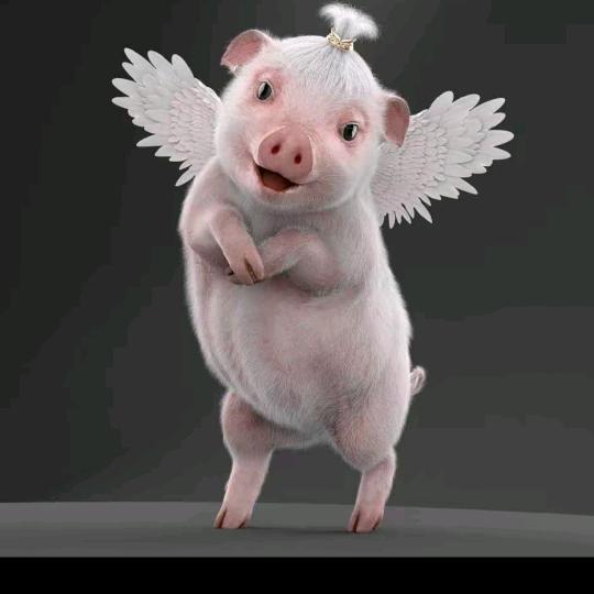 平凡的人  做平凡的事