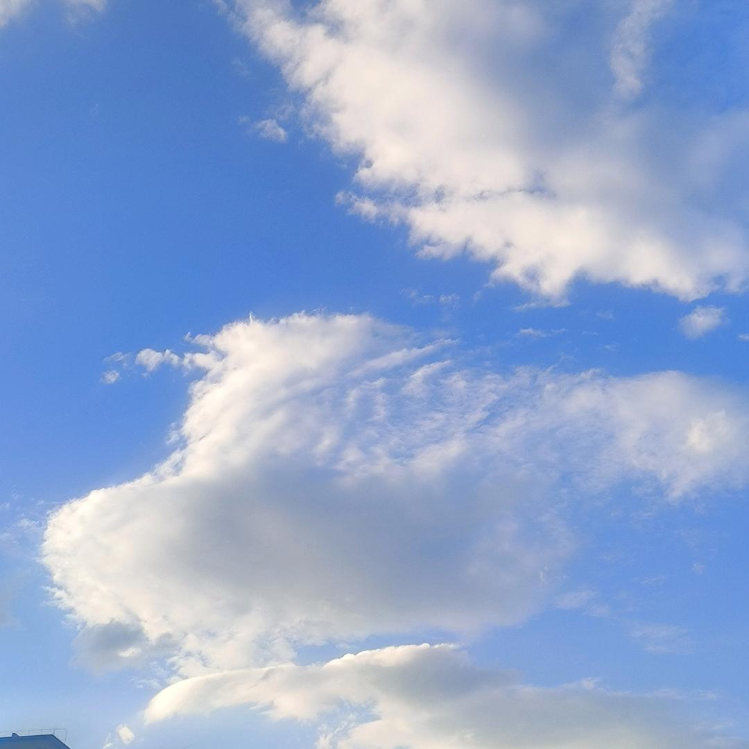 活一半