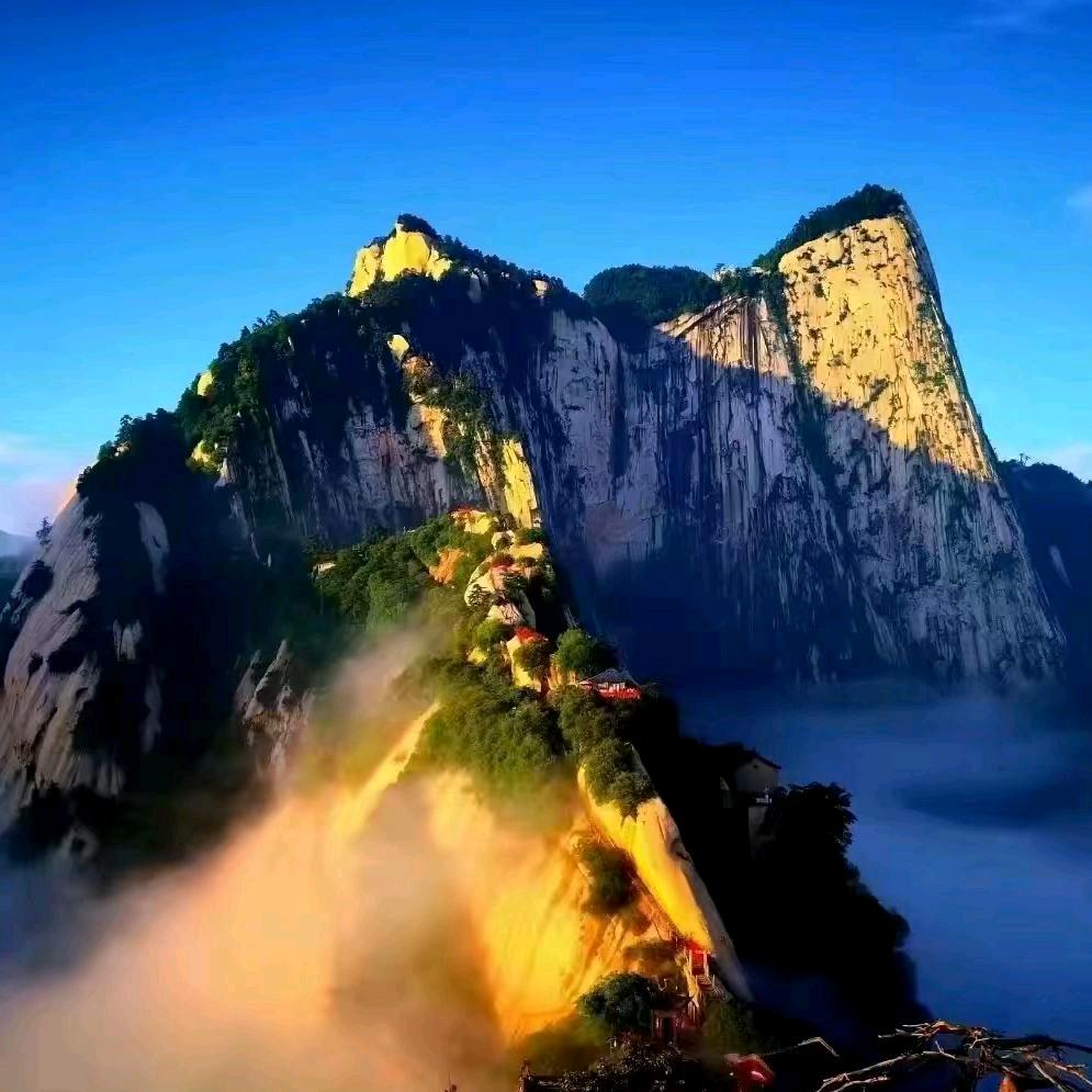 《深情》败给时间