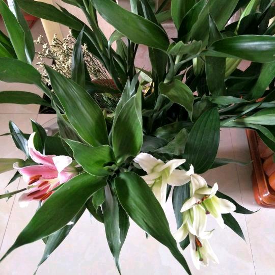 💋往后余生の🌱💞