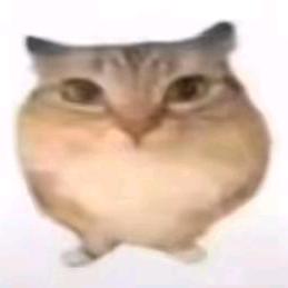 王跃飞