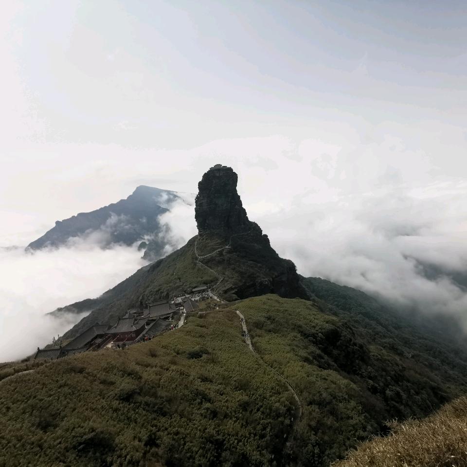自然