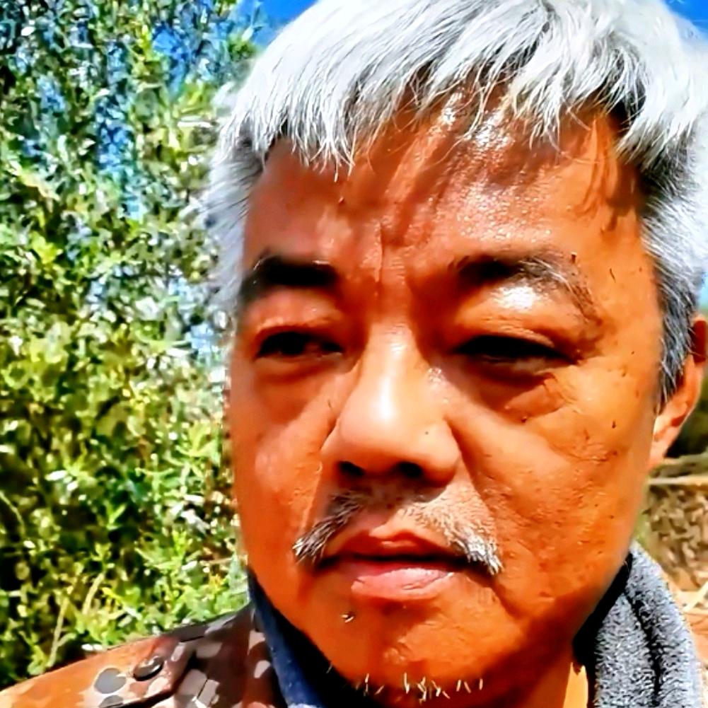 张大伯的土鸡蛋