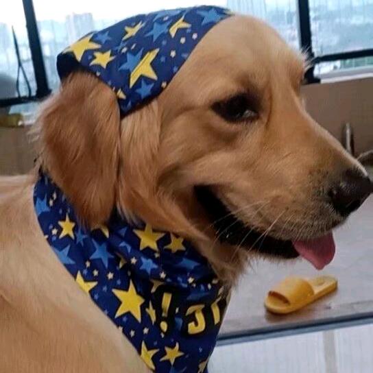 周西西🤙🤙🤙