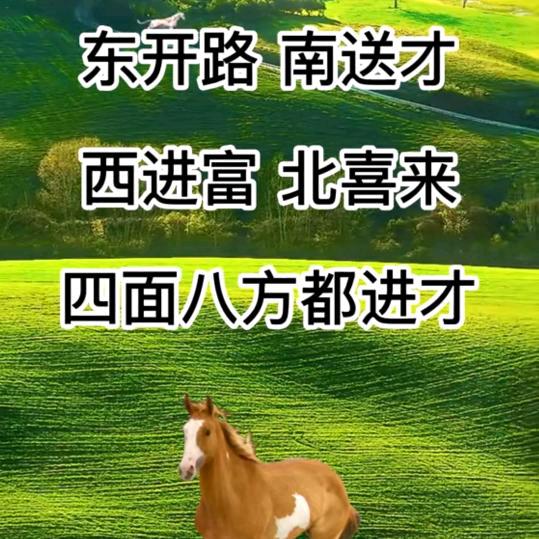 六月哥