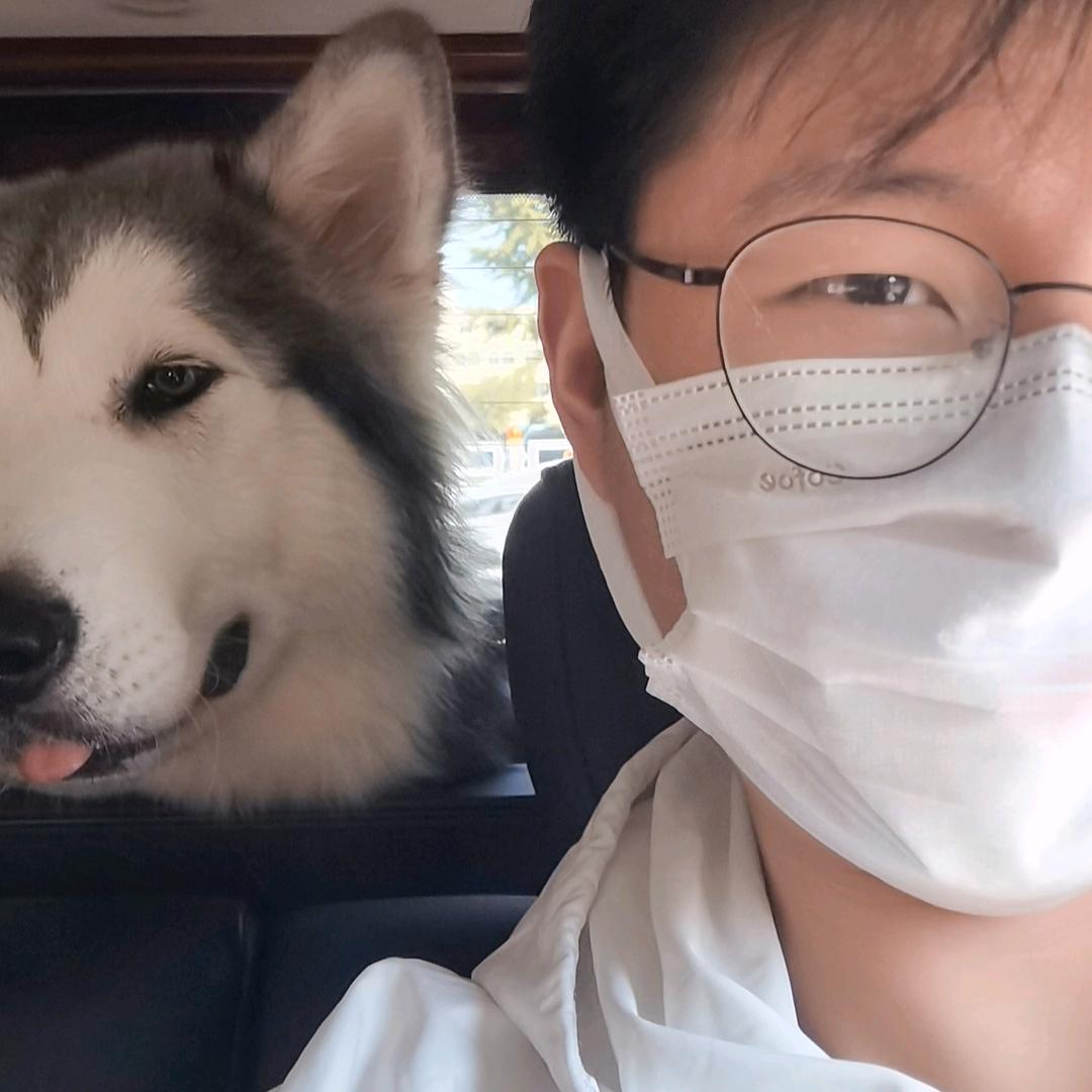 肠爸