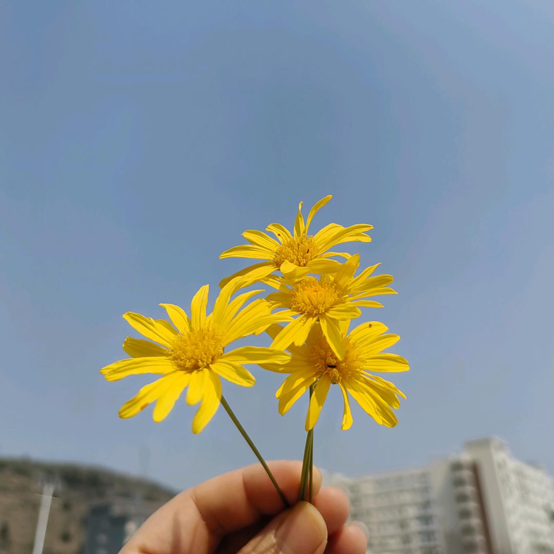 (★^O^★)余生