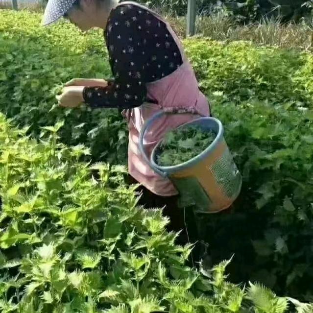6099