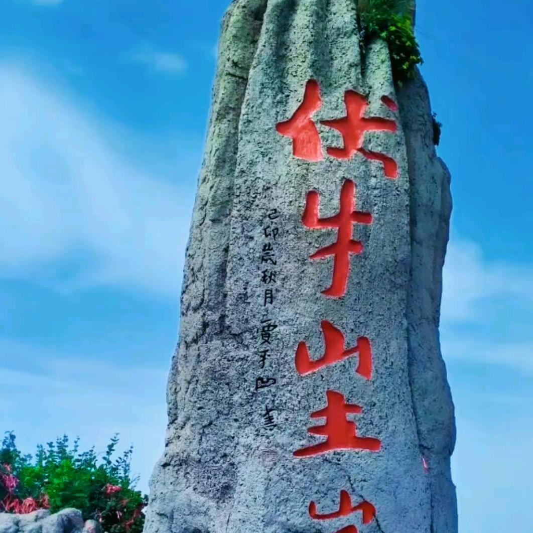 河南《乡村纪录》