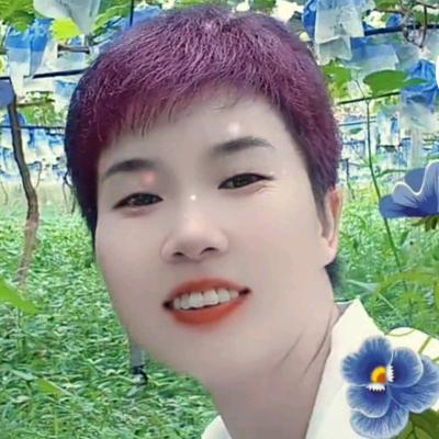 燕子双飞