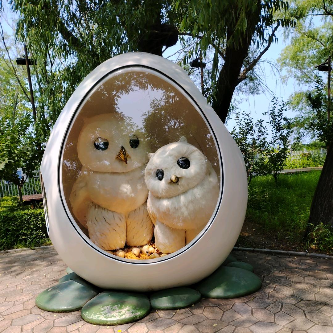 王沁