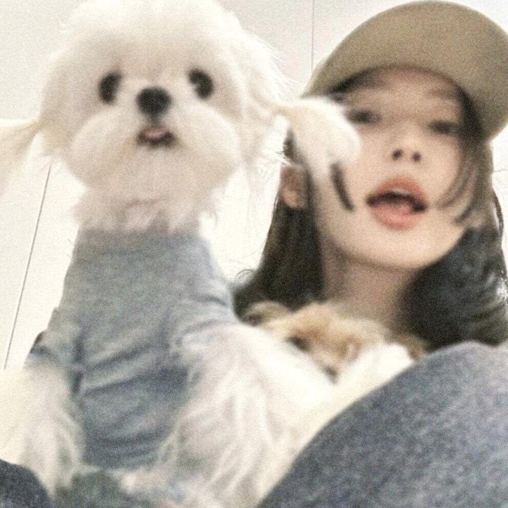 “宋”你离开🐟