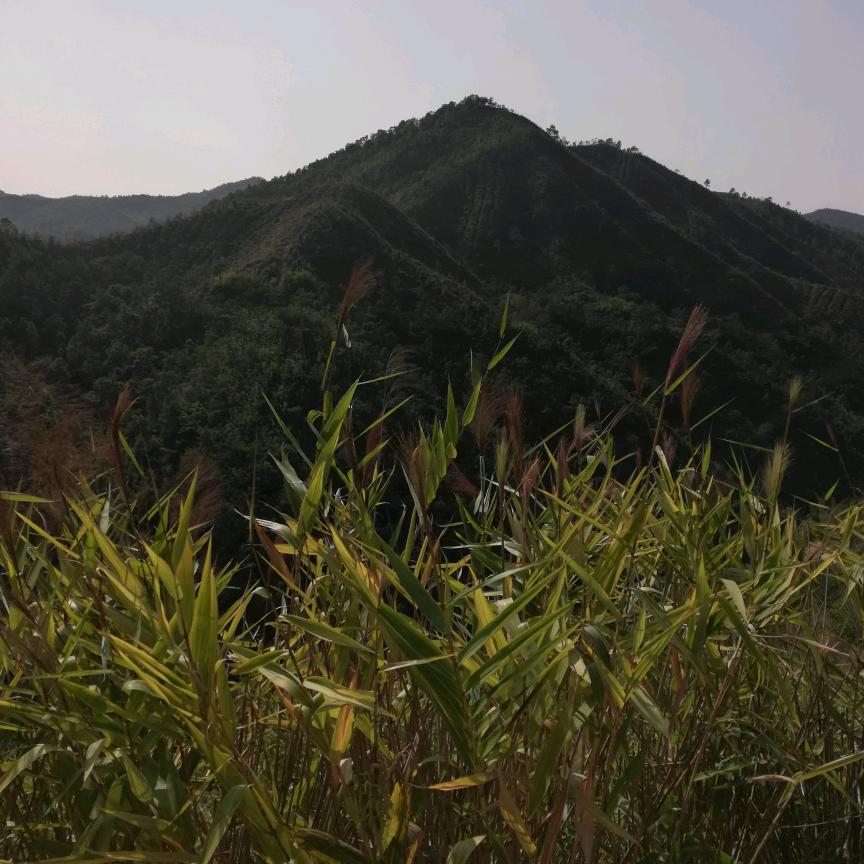 家和