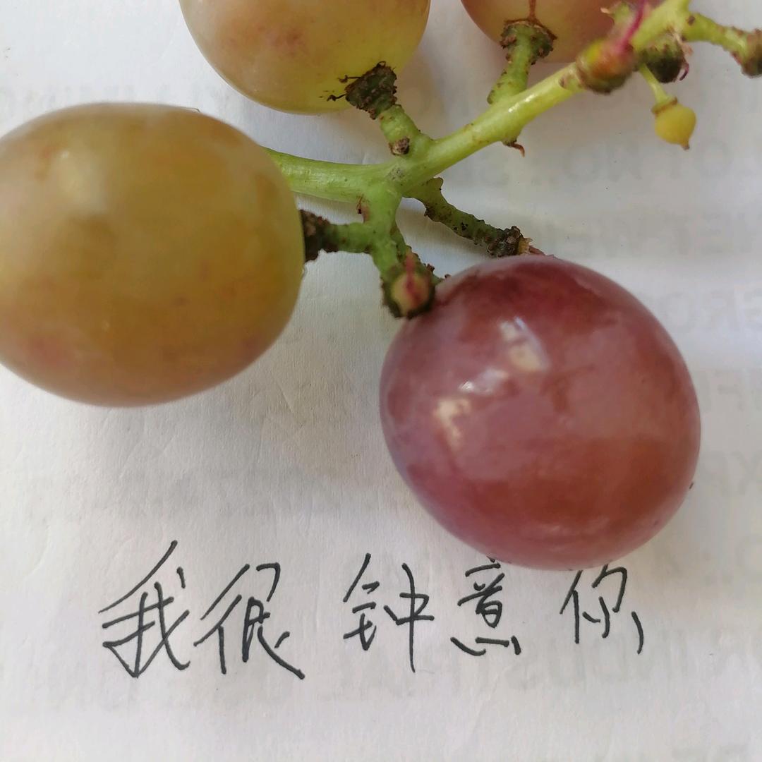 我很钟意你！