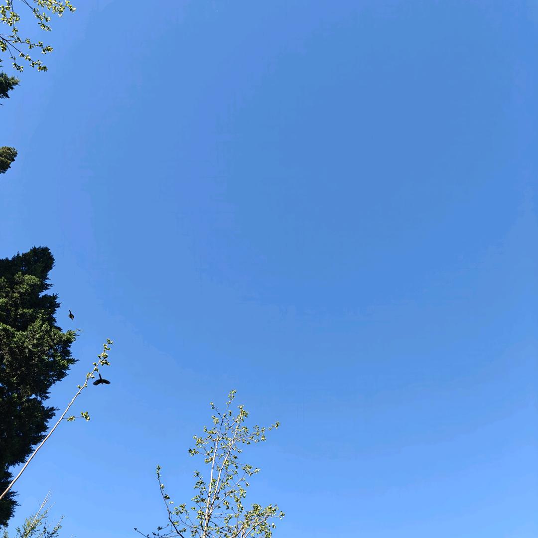 春夏秋冬
