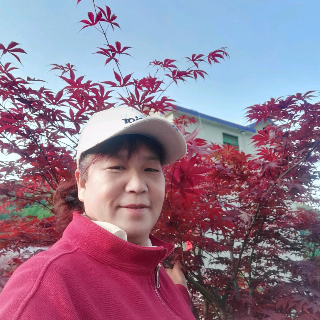 平定一姐（诚信团队）
