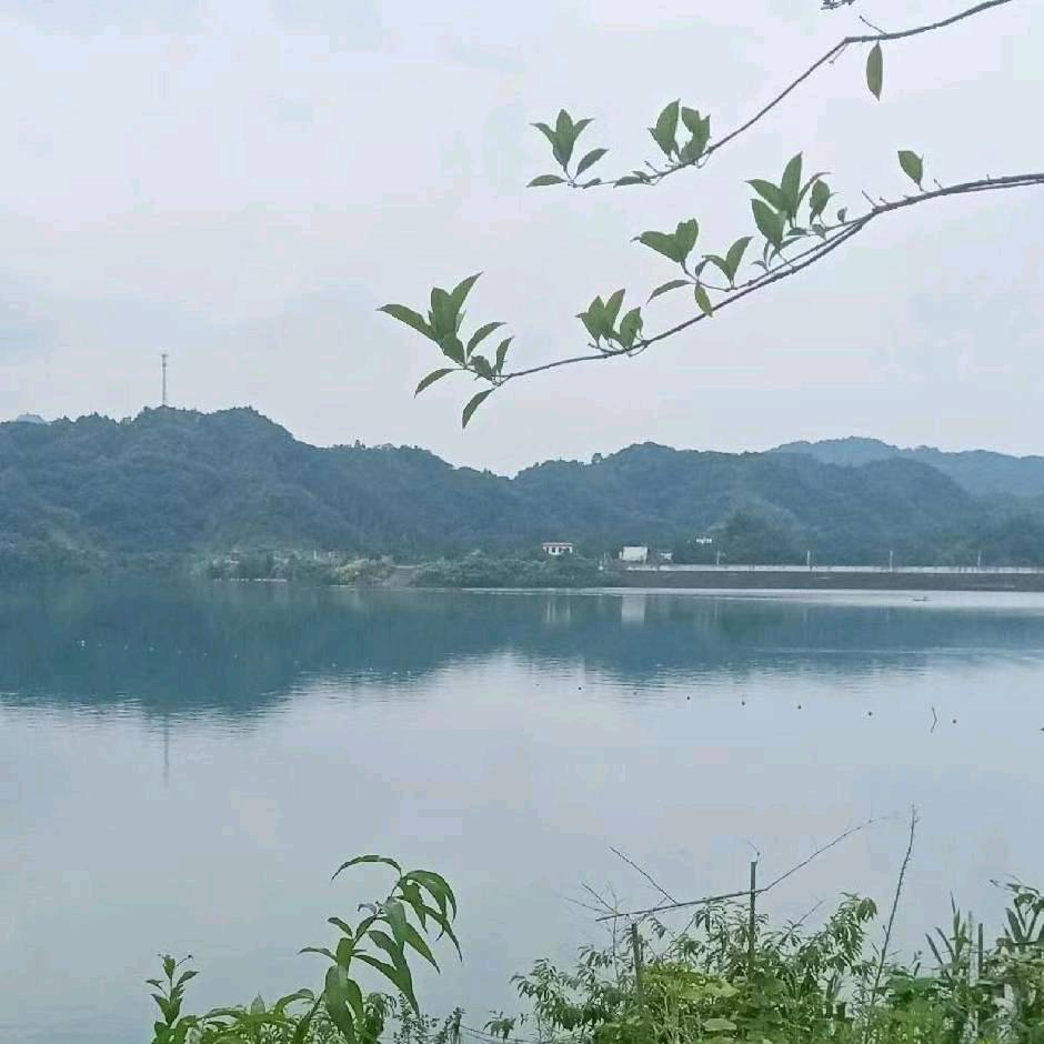 通山按摩师