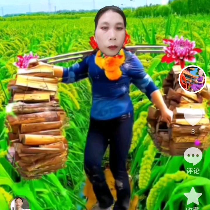一生平安，许绍英