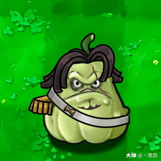 烫头的倭瓜