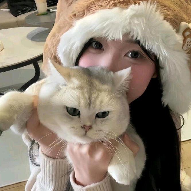 葉RarityCi🌨