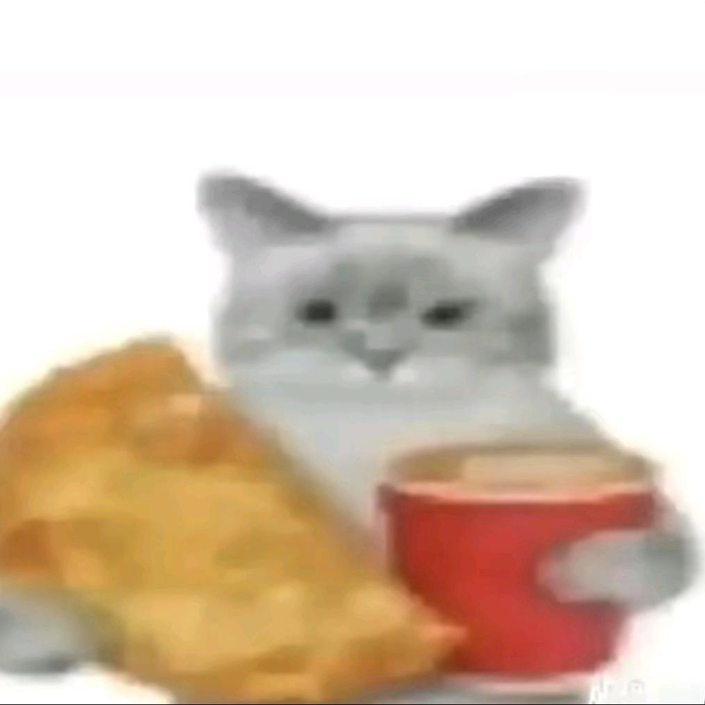 这个麻瓜不太麻