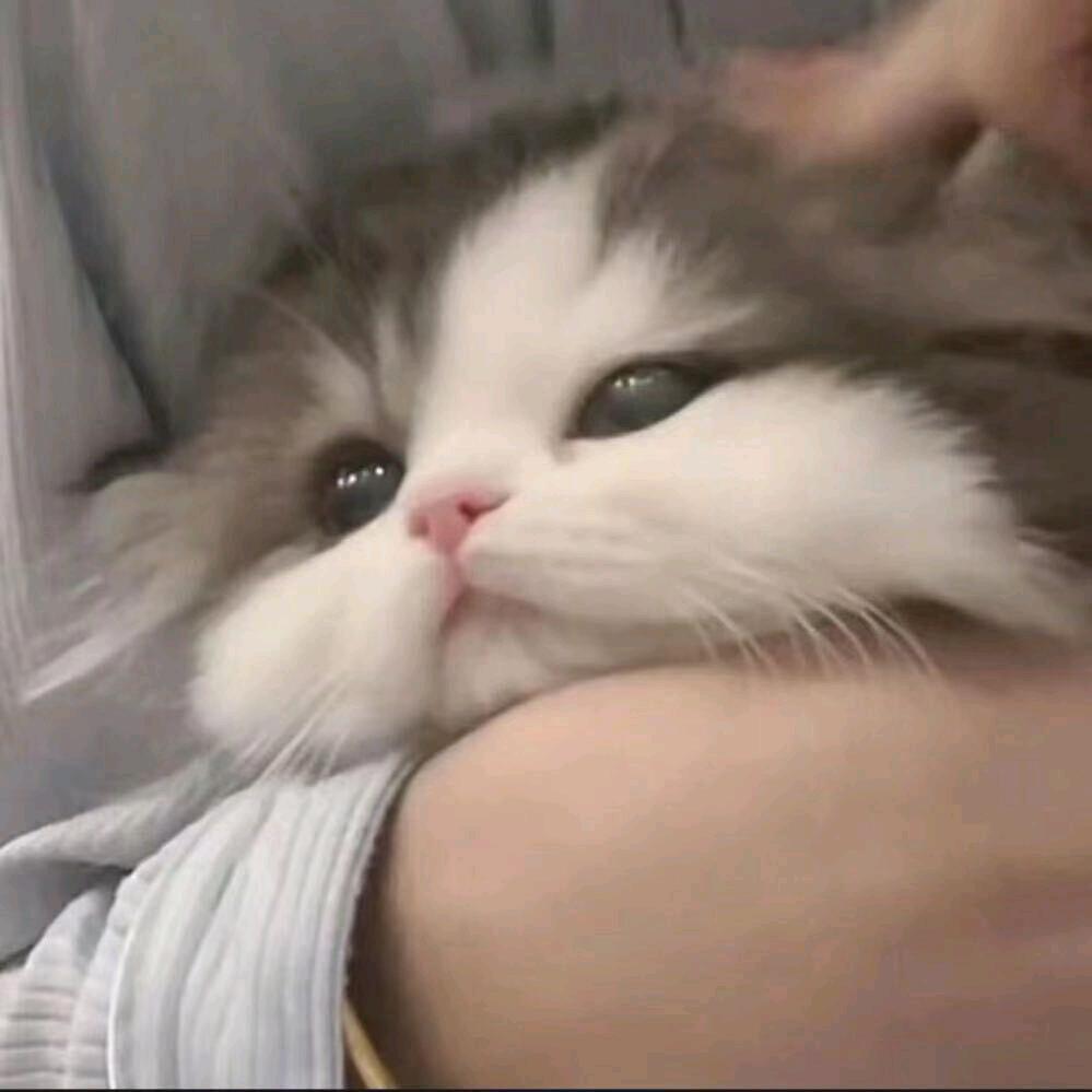 死了都要爱