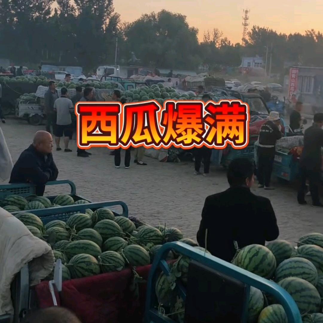 小婷带你看西瓜行情
