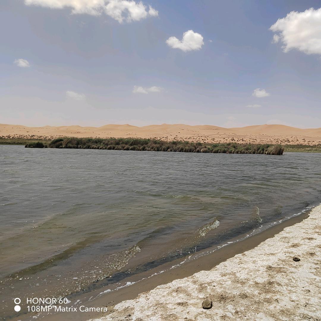 安徽富新农业发展有限公司