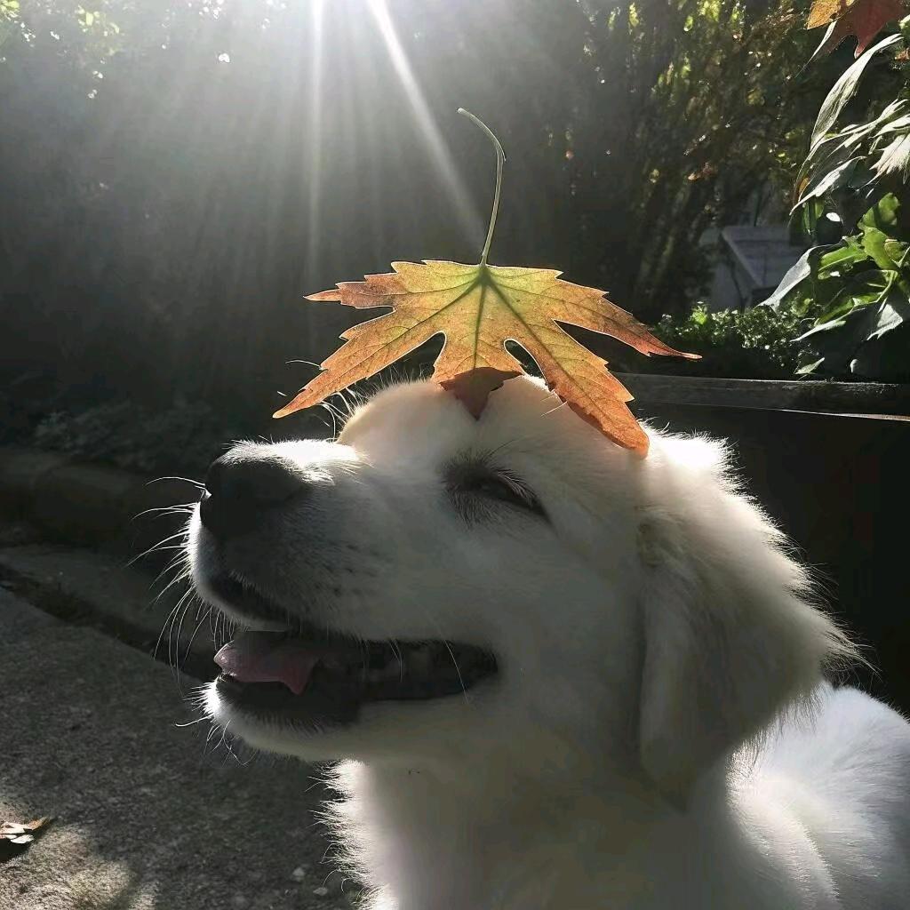 刘复兴⭐⭐⭐⭐⭐⭐⭐