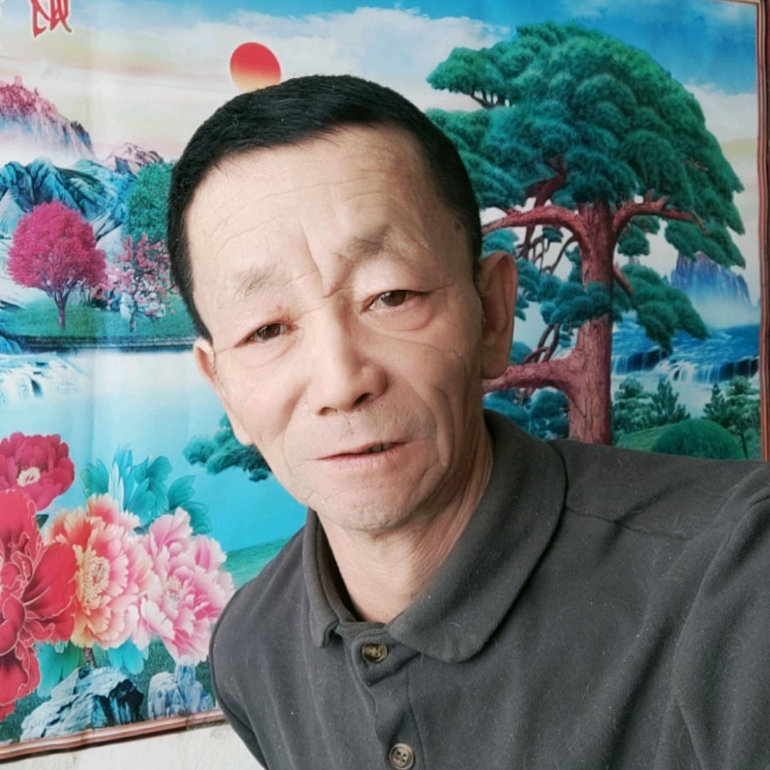 槐南一梦19.19
