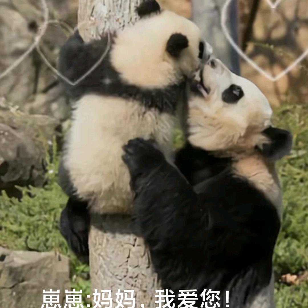 添香迹～安