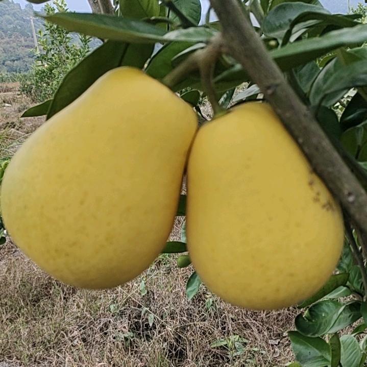 人生没有回头路