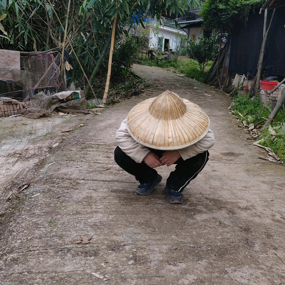 伍道柒