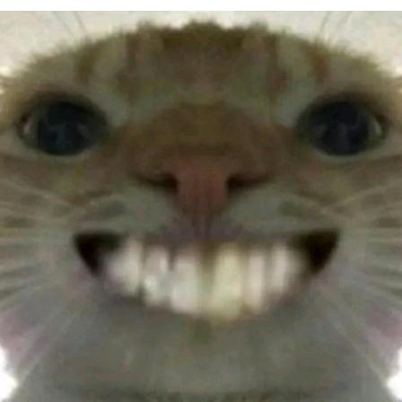 不爱睡觉